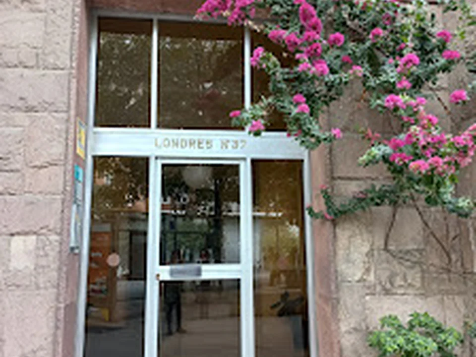 Ajuda Assistencial