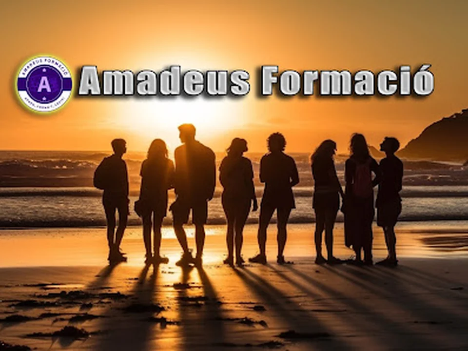 Amadeus Formació