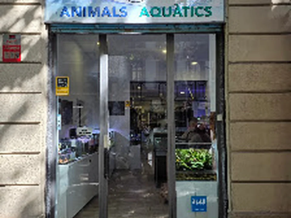 Animals Aquàtics