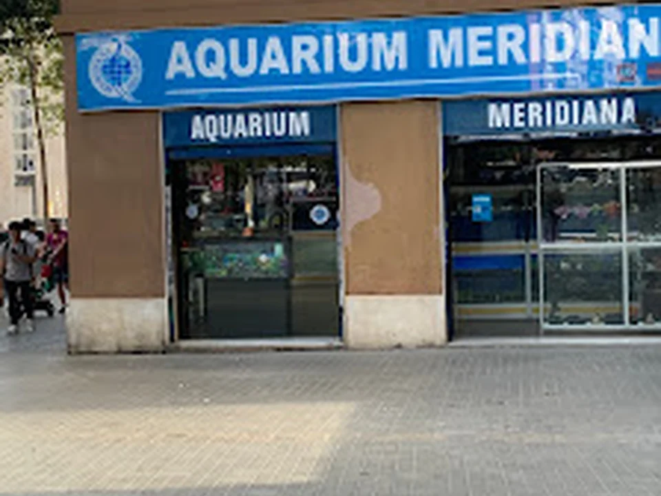 Aquarium Meridiana
