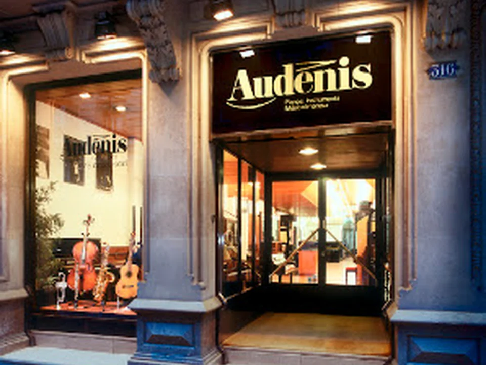 Audenis