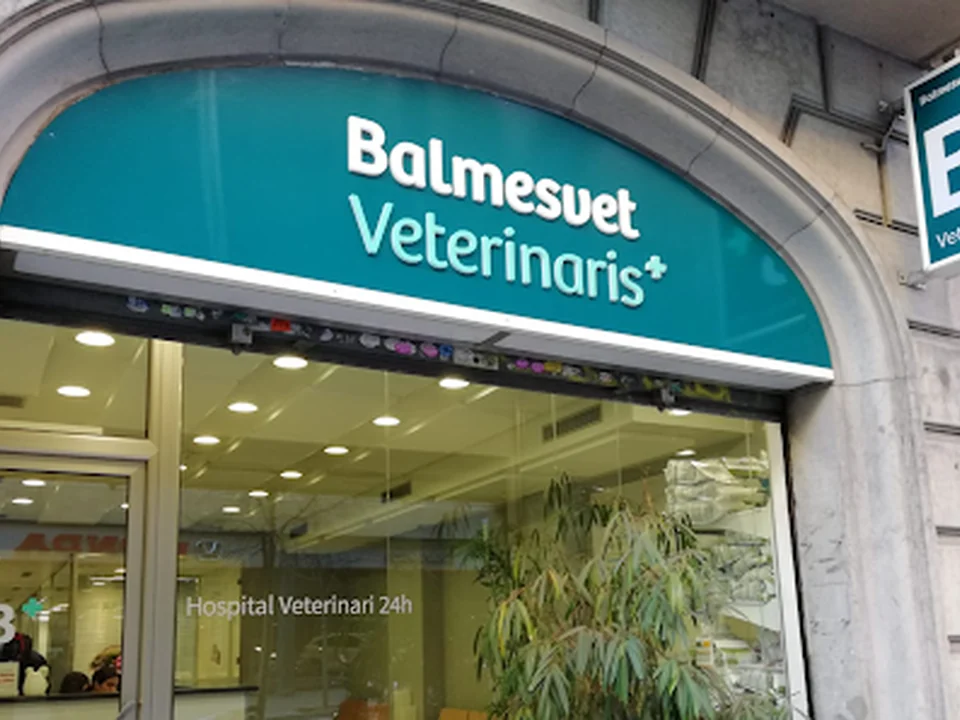 Balmesvet Clínica Veterinària