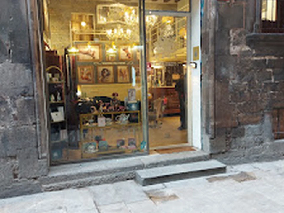 Barcelona Dogs Store