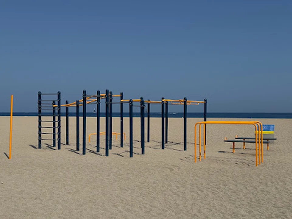 Barres de Cal·listènia