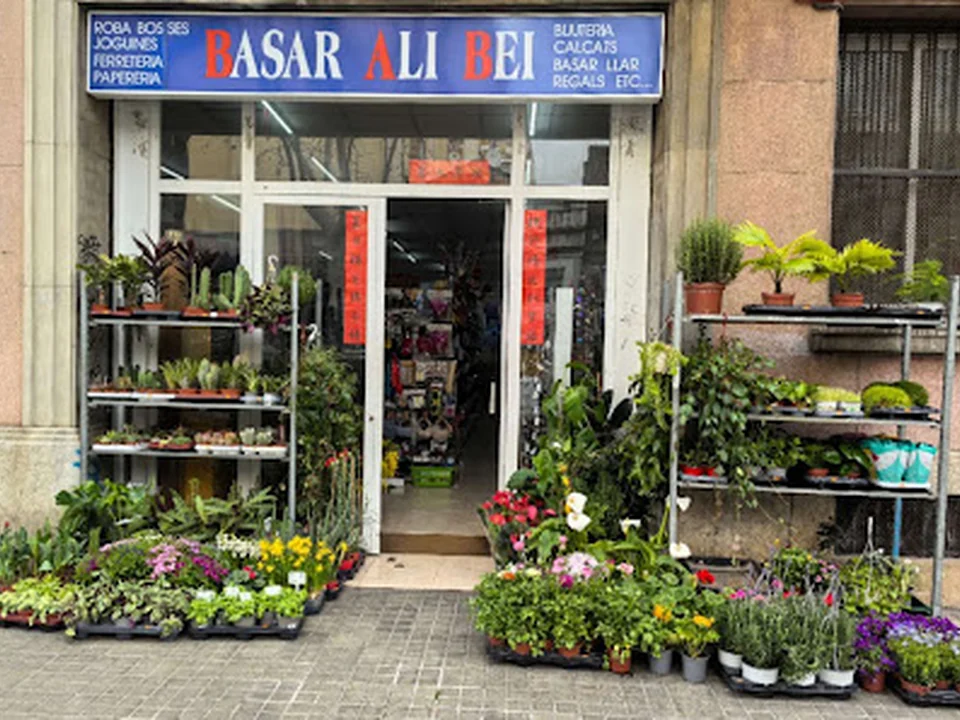 Basar Ali Bei