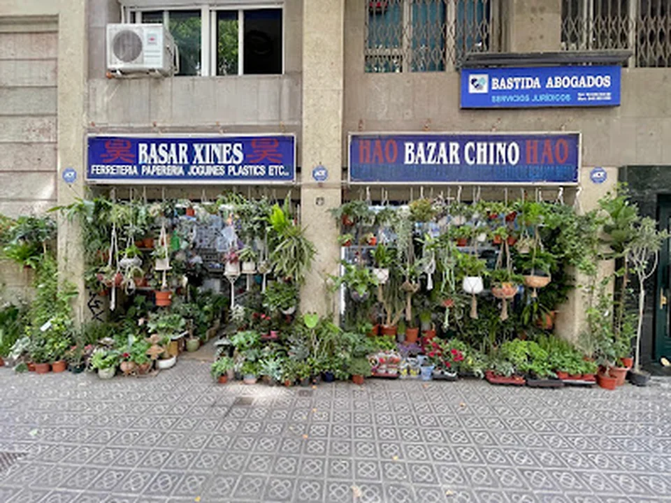 Basar Xines