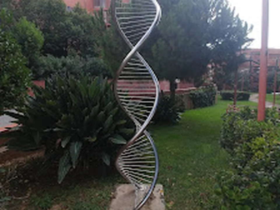 Campus del coneixement