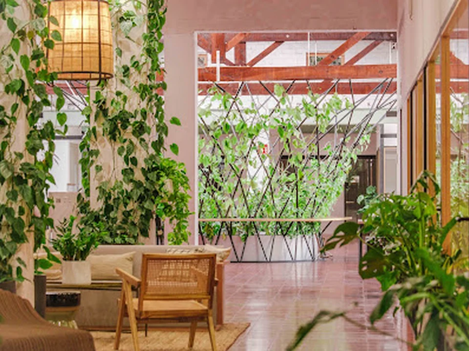 Casa Manglar