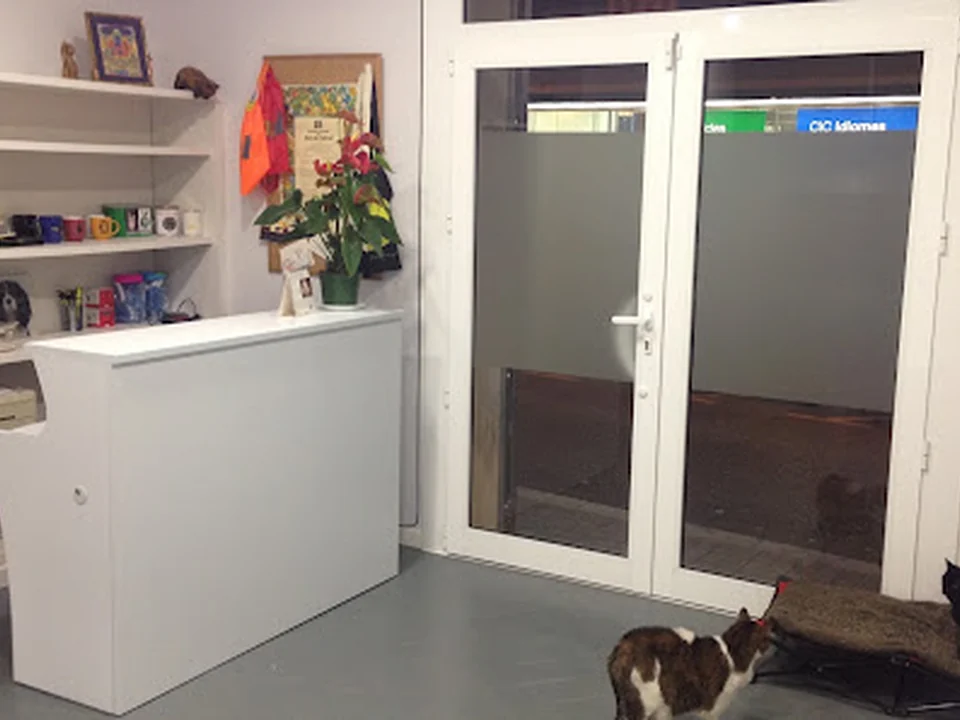 Centre Veterinari Joanic