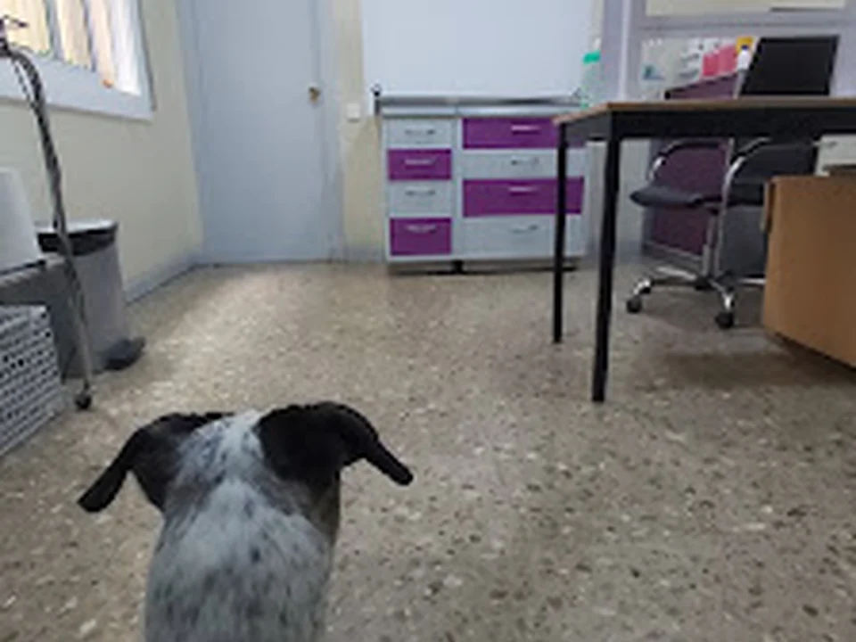 Centre Veterinari Taxdirt