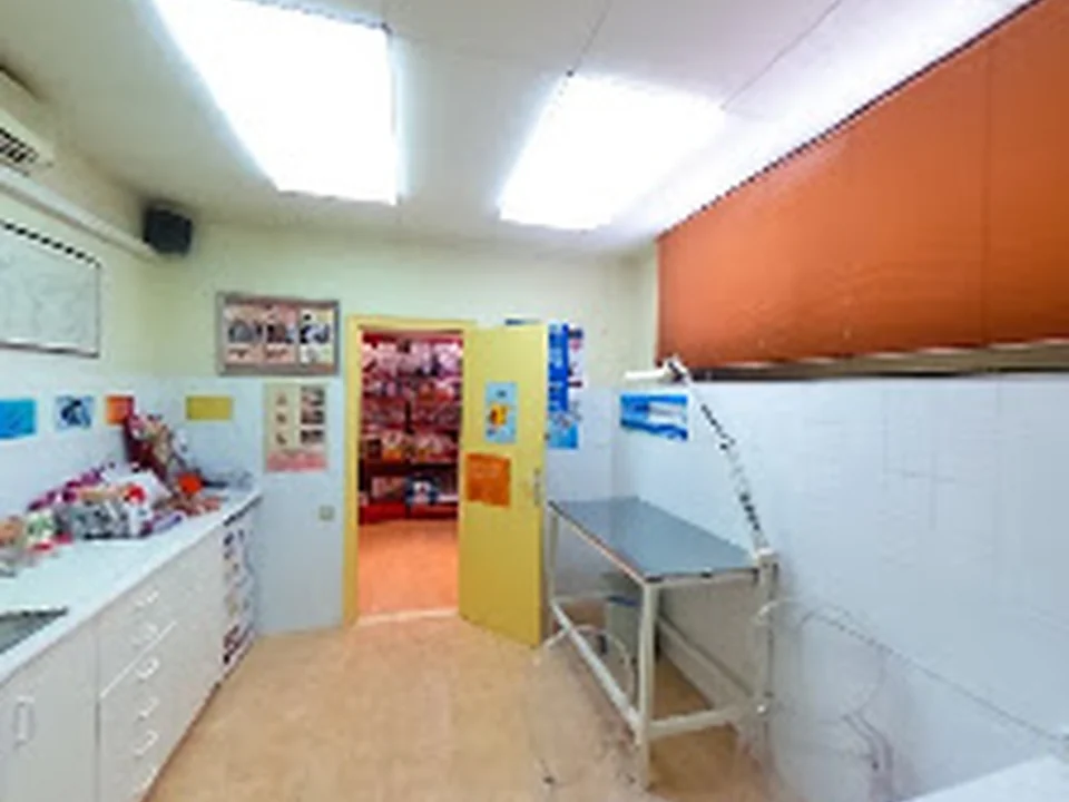 Clinica Veterinaria Albó