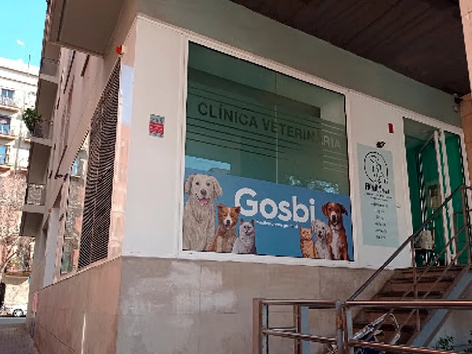Clínica Veterinària Family Vet