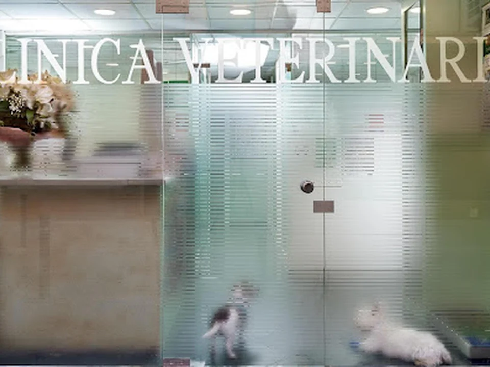 Clínica Veterinària Poble Nou
