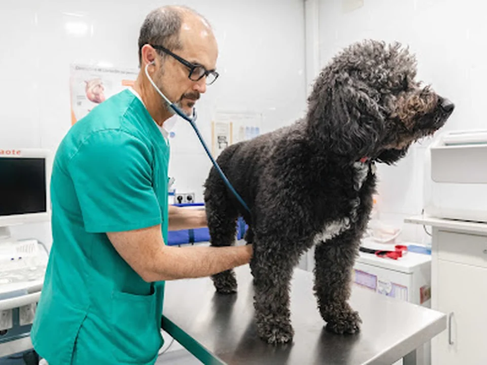 Clínica veterinària Taquari