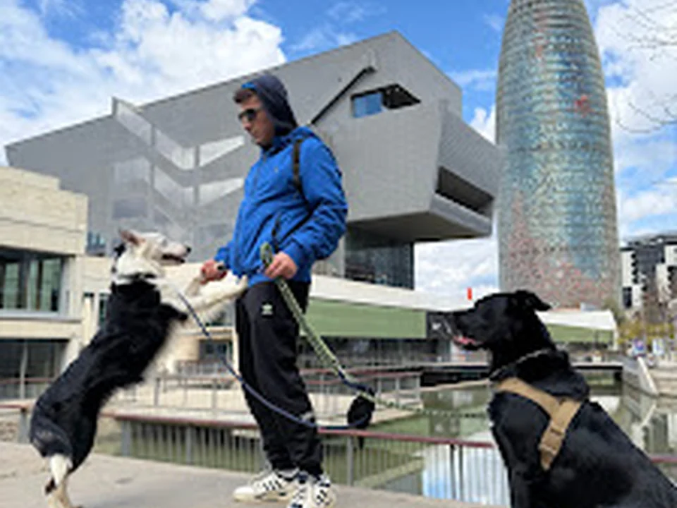 Cuidados mascotas BCN