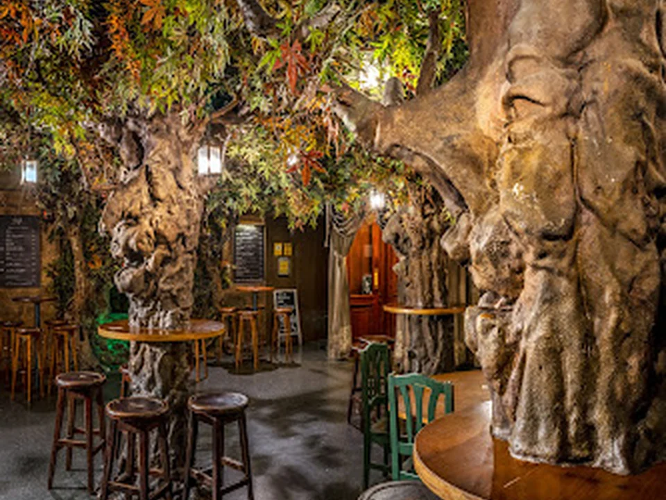 El Bosc de les Fades