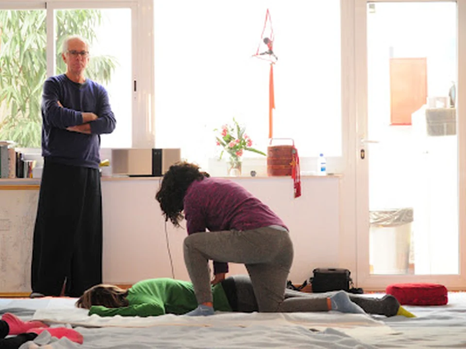 Escola De Shiatsu I Moviment