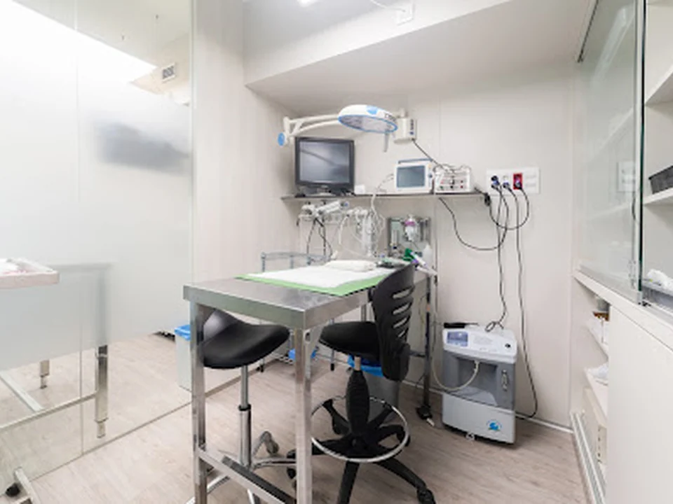 Exòtics Veterinària