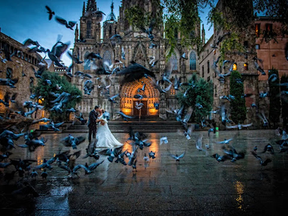 Feelm&wedding