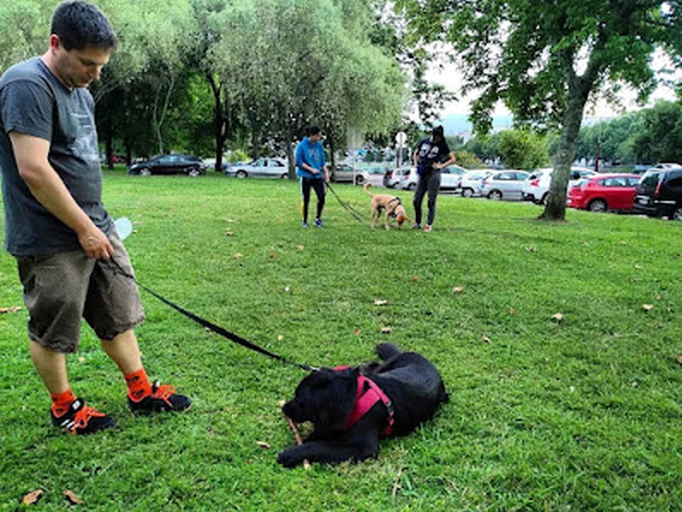 FIERAS - Educación y Adiestramiento Canino Barcelona