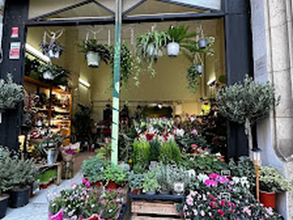 Floristería Herencia