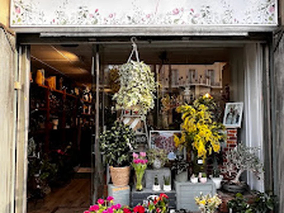 Floristeria PlantArte Barcelona