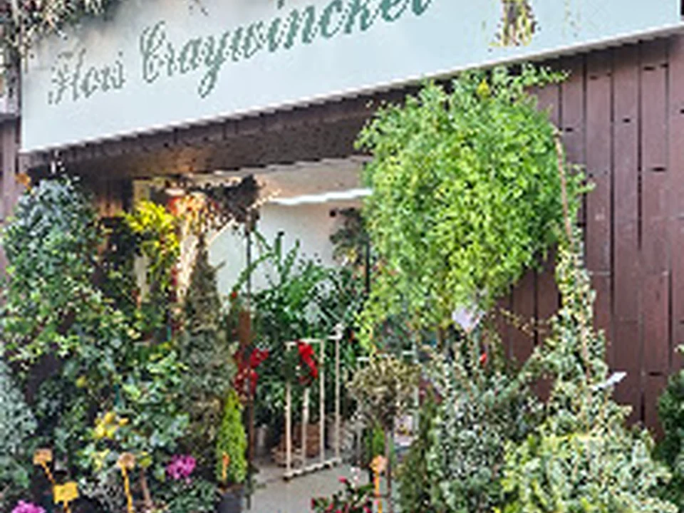 Flors Craywinckel