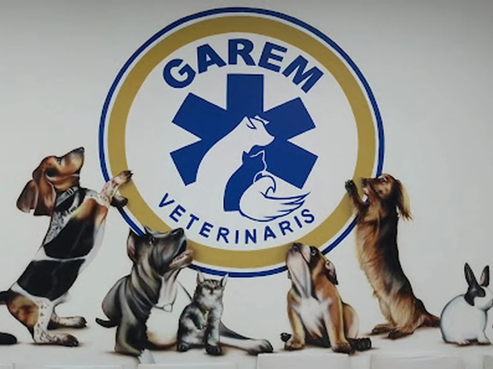 Foto de GAREM Veterinarios 24 horas