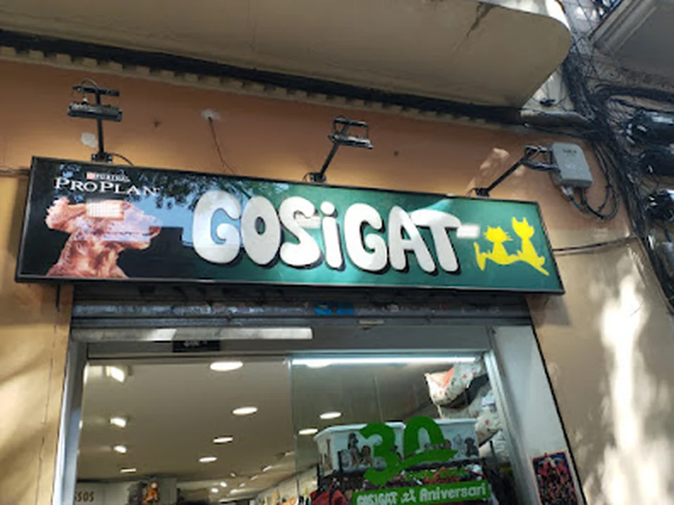 Gos i Gat