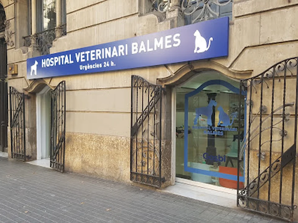 Hospital Veterinari Balmes