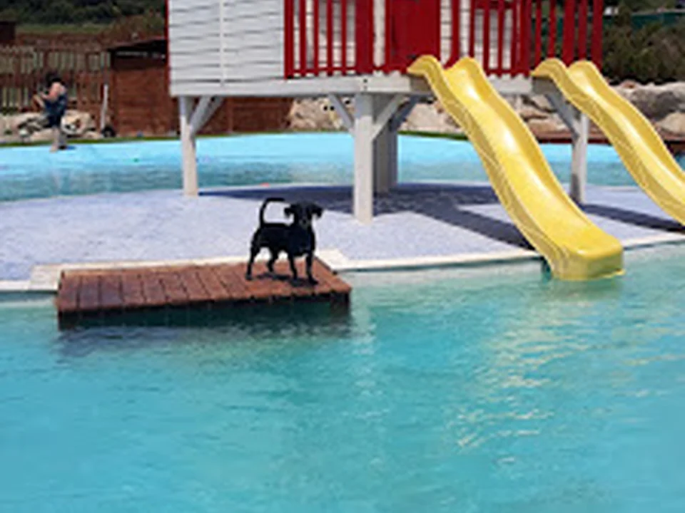 Hotel Canino