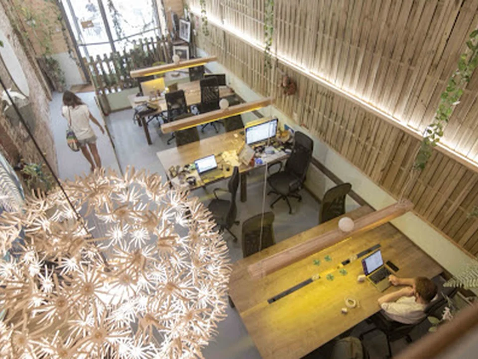 Jungle Coworking - Coworking creativo en Poble Nou, Barcelona