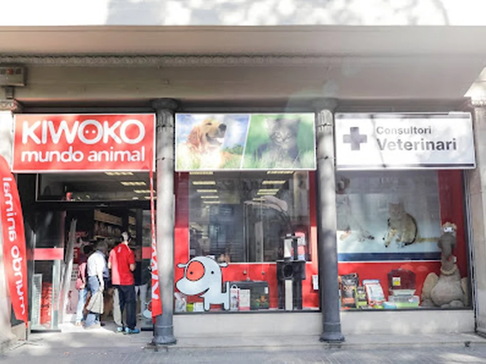 Kiwoko. Món Animal