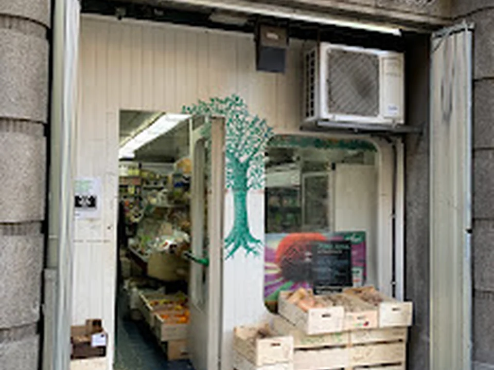 L'Arbre de Vida
