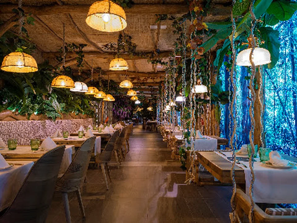 La Selva Barcelona | Còrsega