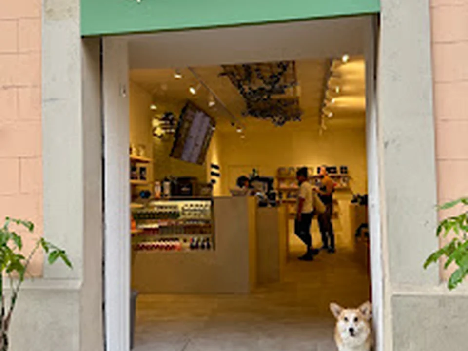 Noor | Cafè d'Especialitat