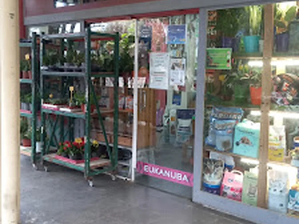 Paraíso Animal Montbau