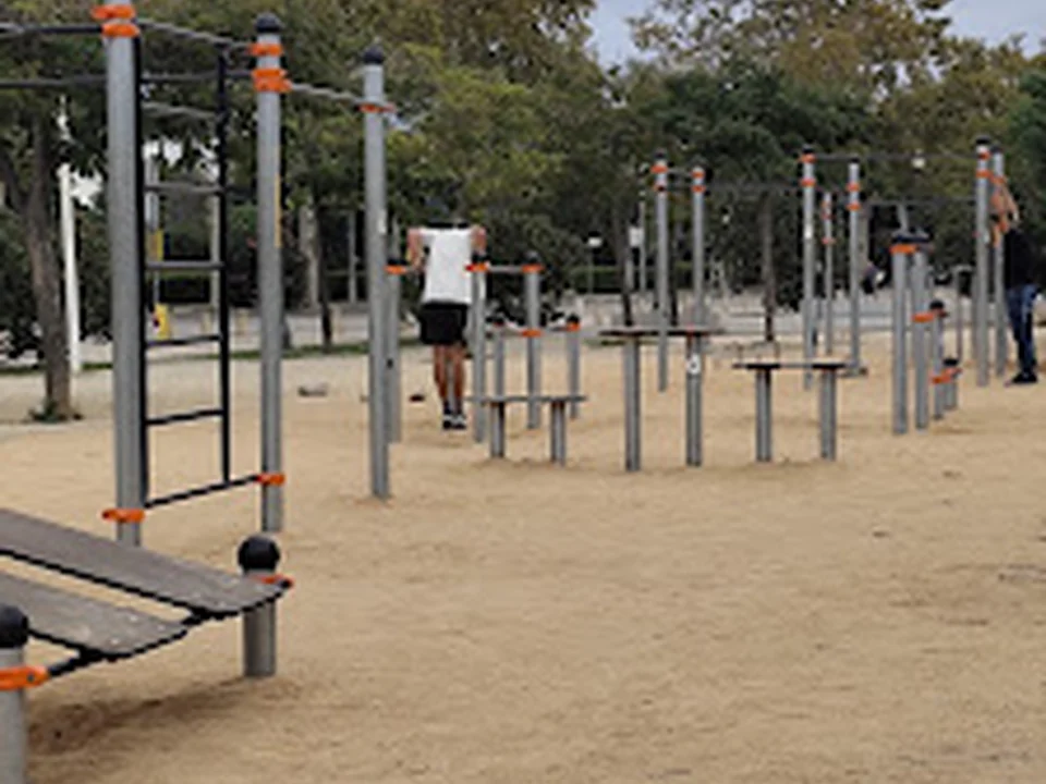Parc de cal·listènia
