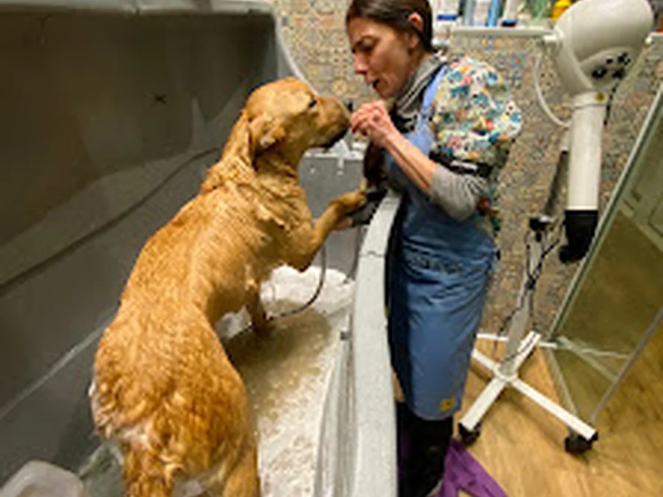 Peluquería Canina Can Bau