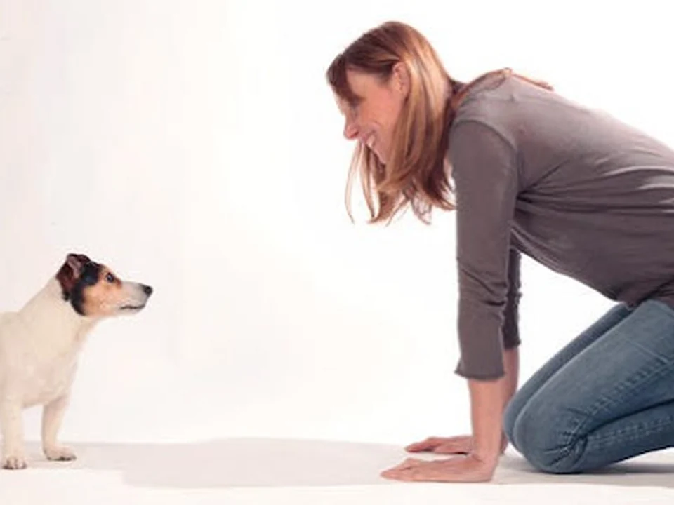 Personal Dog Trainer Adiestramiento Canino Barcelona