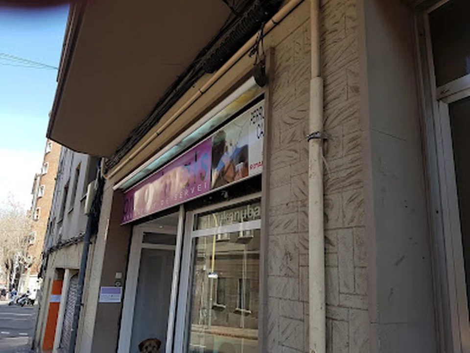 Pro Animals Barcelona. Peluquería canina, alimentación para tu mascota y tienda de productos para mascotas.