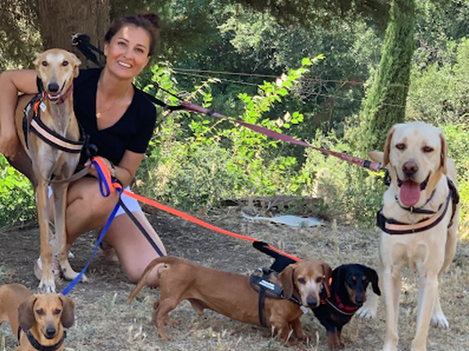 Residència Canina Can Llosses Barcelona