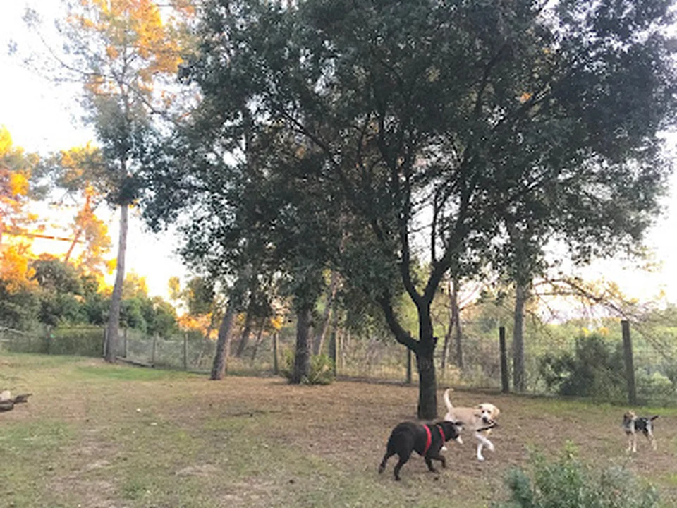 Residència canina Can Xavi