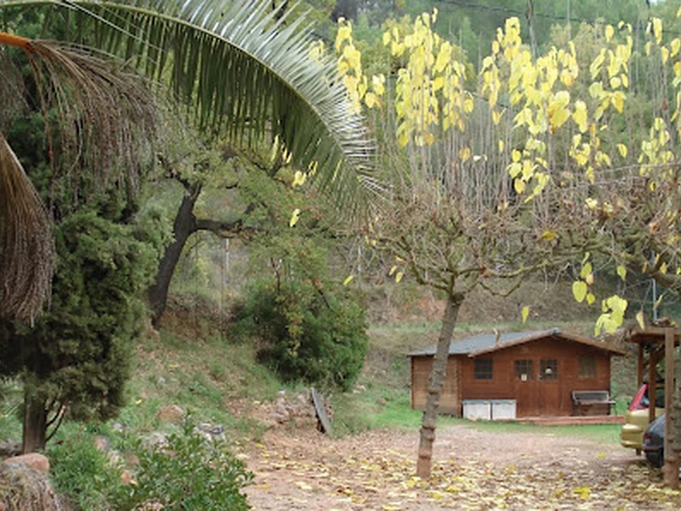 Residència Canina Els Masets