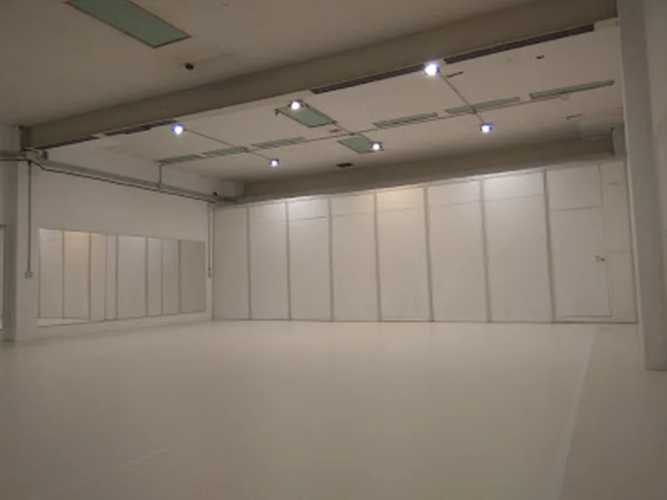 Sa Nau, dansa i altres arts