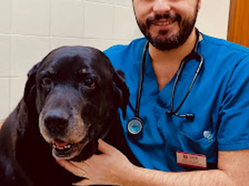 Sanz Veterinaris
