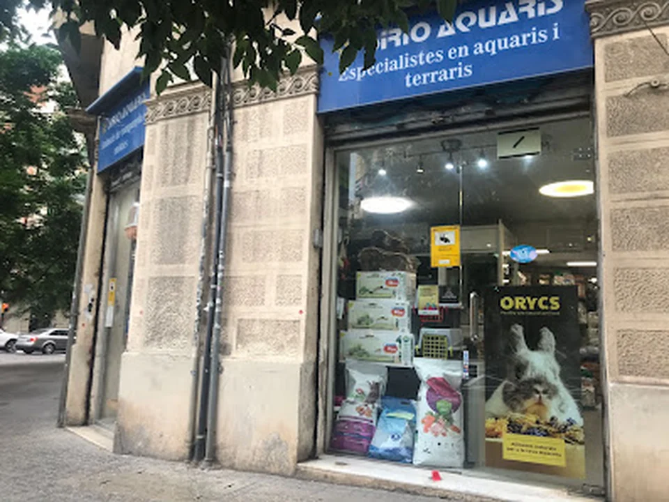 Sirio Acuari