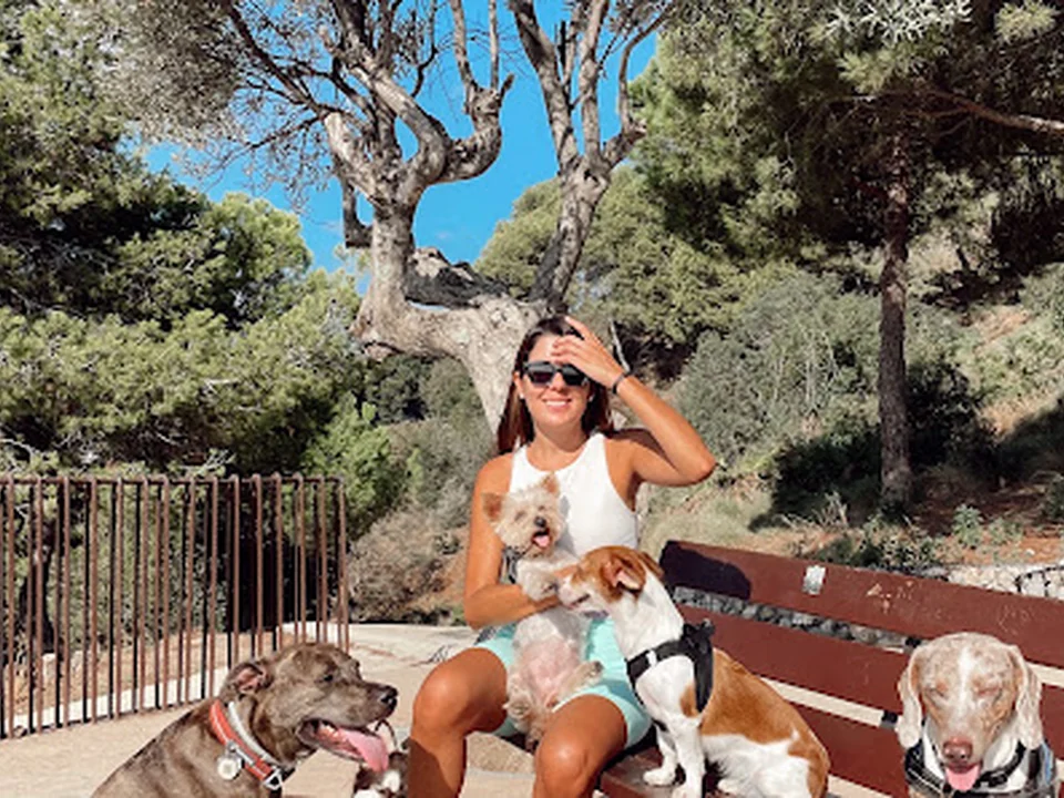 Stacy Guarderia Canina