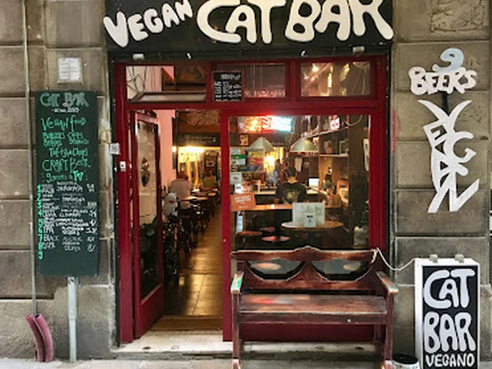 Vegan Cat Bar
