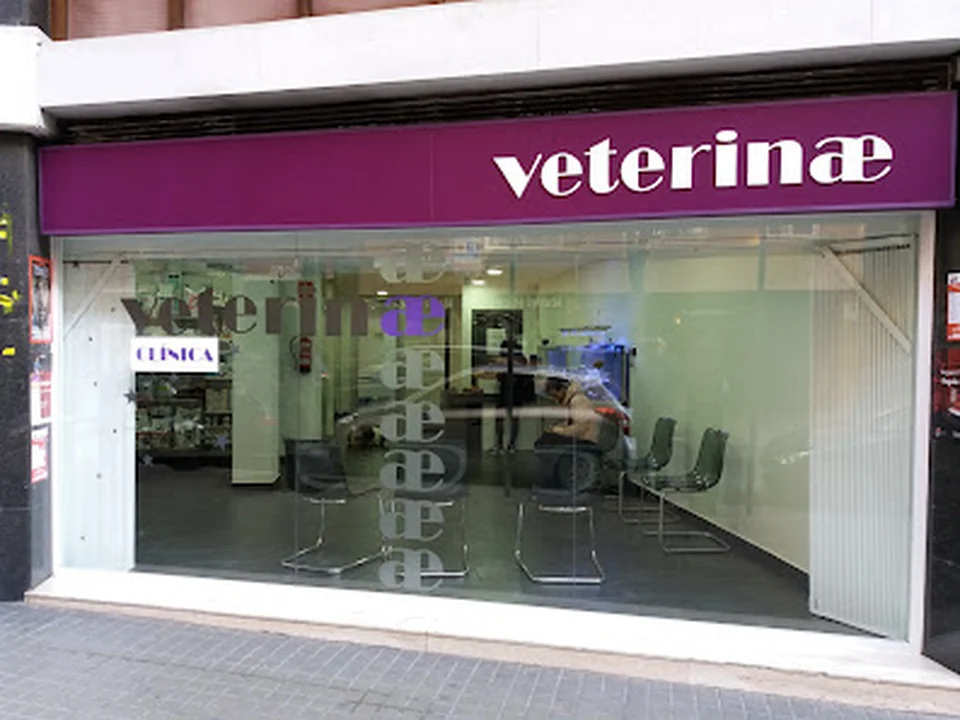 Veterinae Clínica Veterinària